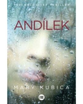 Andílek - Mary Kubica - cena