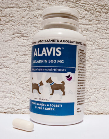 Alavis Celadrin pro psy – recenze, zkušenosti