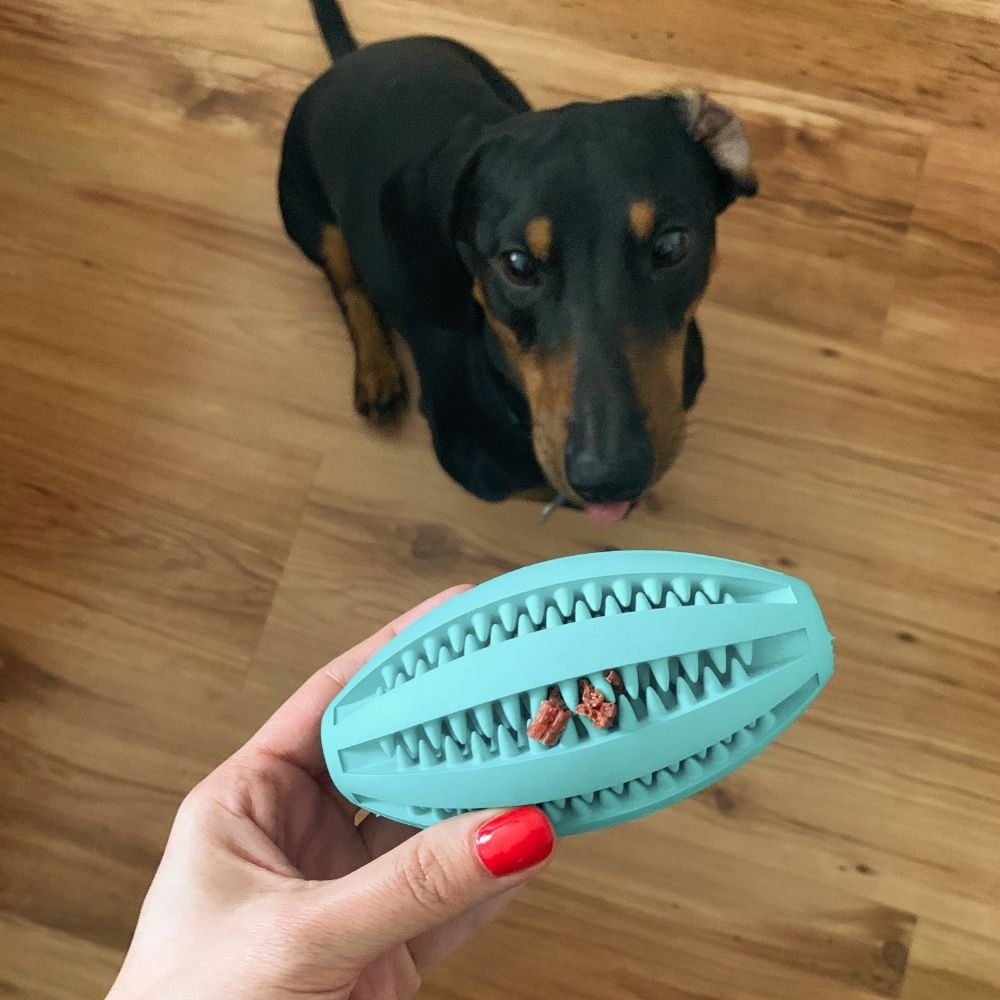 Trixie Dentafun Hračka pro psy rugby míč s mátou – test