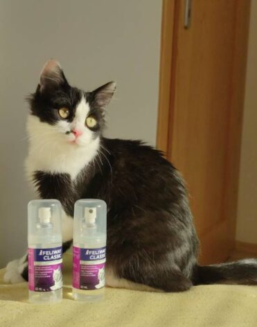 FELIWAY přírodní sprej imituje kočičí obličejový feromon recenze