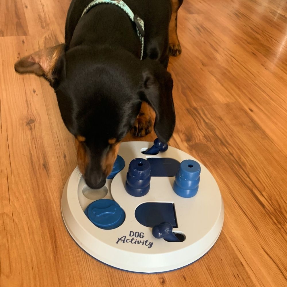 Trixie Dog Activity Flip Board – test
