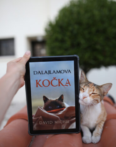 Dalajlamova kočka - David Michie - recenze