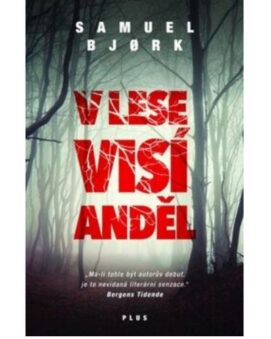 V lese visí anděl - Samuel Bjork - cena